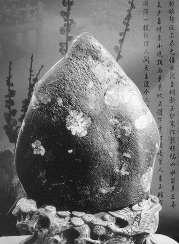 牡丹奇石象征着美满和幸福