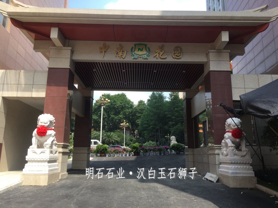 人ʯʨ