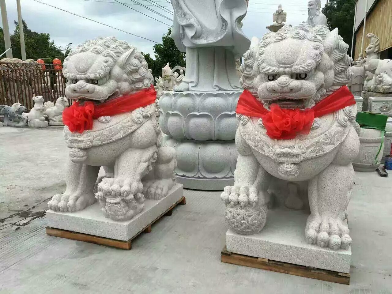 ʯʨ
